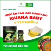 <b>Thức ăn Rồng Nam Mỹ từ Mới Nở đến 9x </b><br>Vị Chuối - Hộp 230g