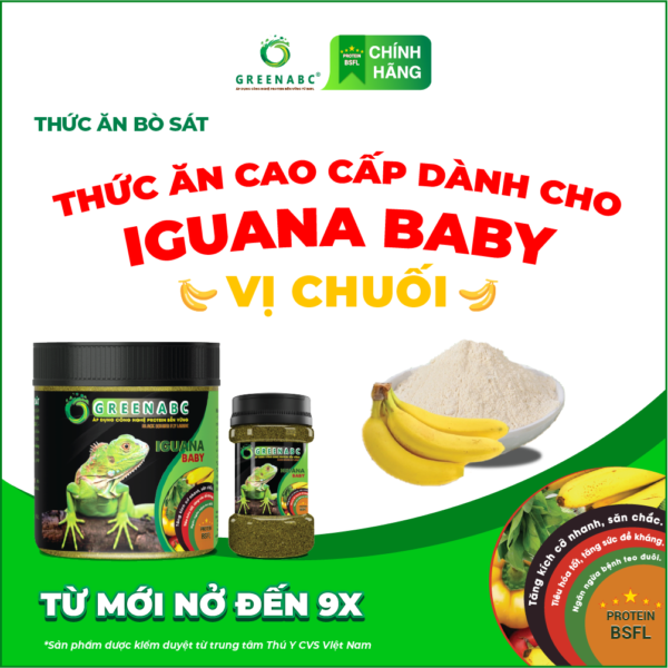 <b>Thức ăn Rồng Nam Mỹ từ Mới Nở đến 9x </b><br>Vị Chuối - Hộp 230g
