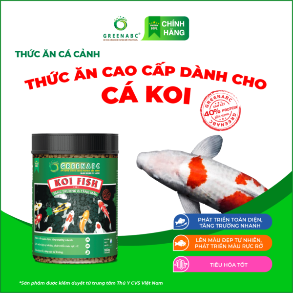 <b>Thức ăn Cá Koi</b><br> Hộp 950g