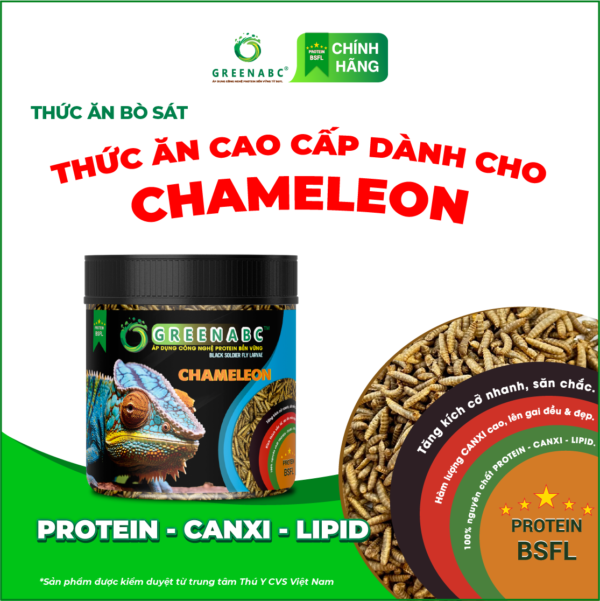 <b>Thức ăn Chameleon – Bổ sung Protein, Canxi, Lipid  </b><br>Hộp 68g