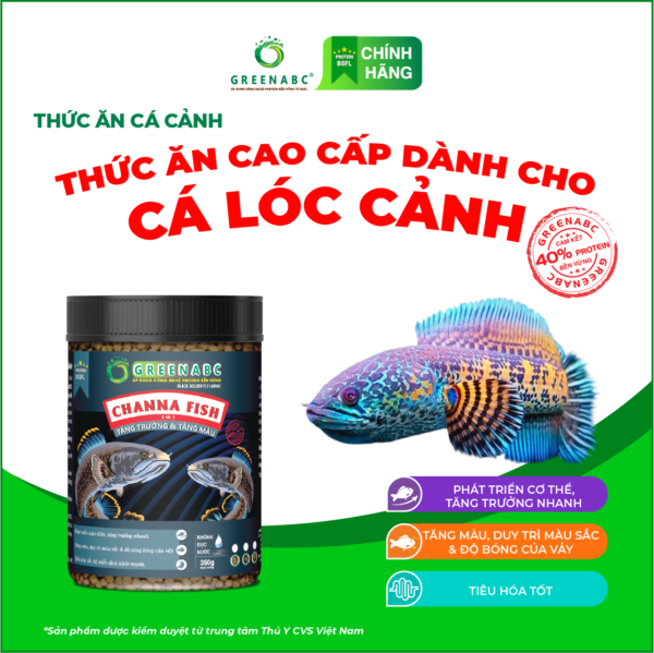 <b>Thức ăn Cá Lóc Cảnh </b><br>Hộp 350g
