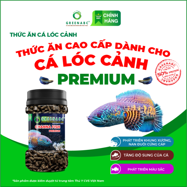 <b>Thức ăn Cá Lóc Cảnh Cao Cấp</b><br> Hộp 65g