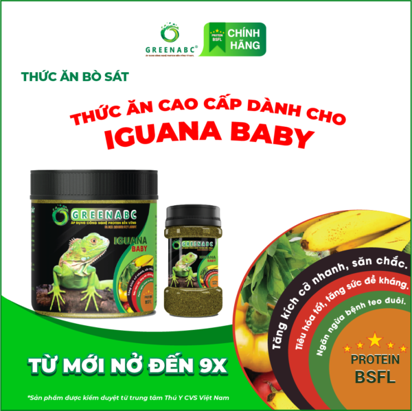 <b>Thức ăn Rồng Nam Mỹ từ Mới Nở đến 9x </b><br>Hộp 230g