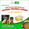 <b>Thức ăn Rồng Nam Mỹ Trưởng Thành từ 1m trở lên</b><br>Vị Chuối - Hộp 230g