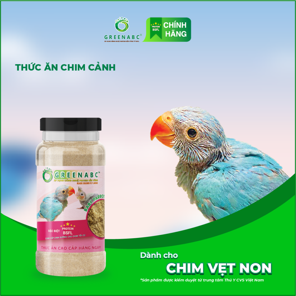 thức ăn vẹt non